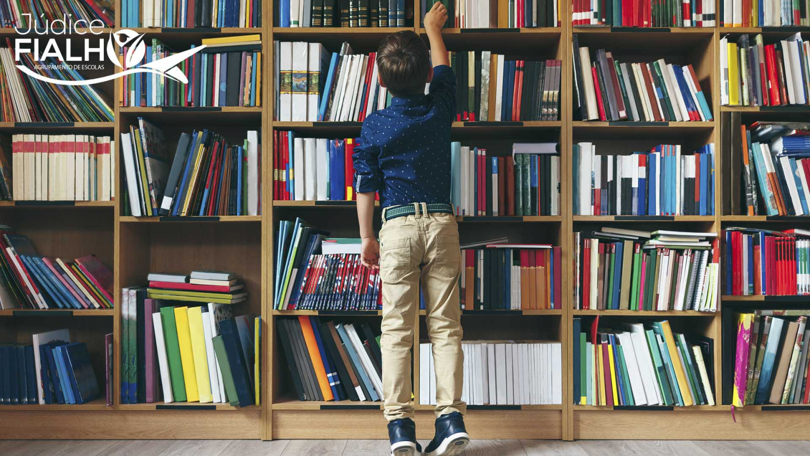 Biblioteca Escolar - Requisição de Livros