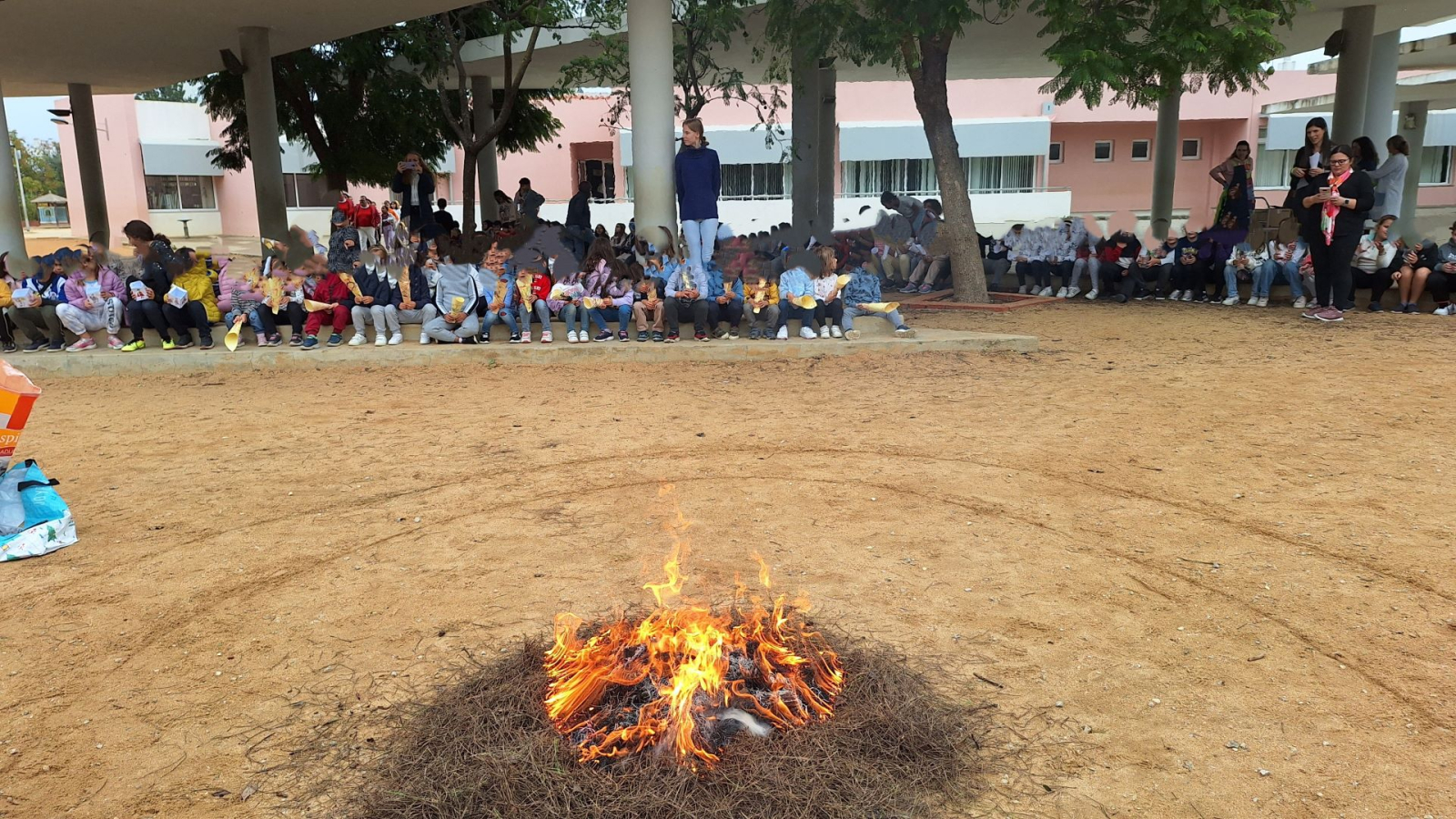 Magusto 1º ciclo